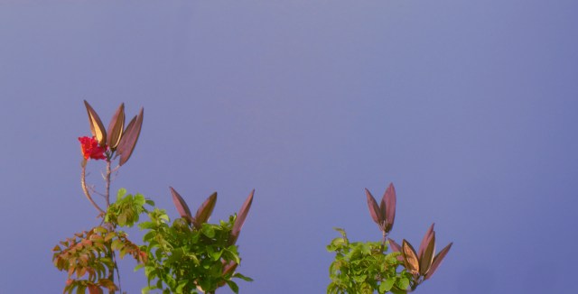 Breathing in the molten&nbsp;weight