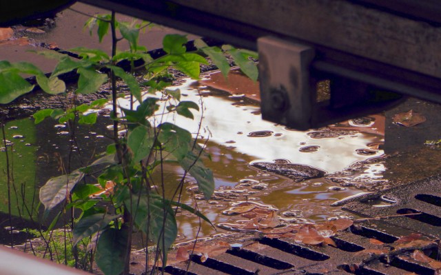 Recovering from modernity